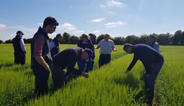 Pushing up yields with YEN